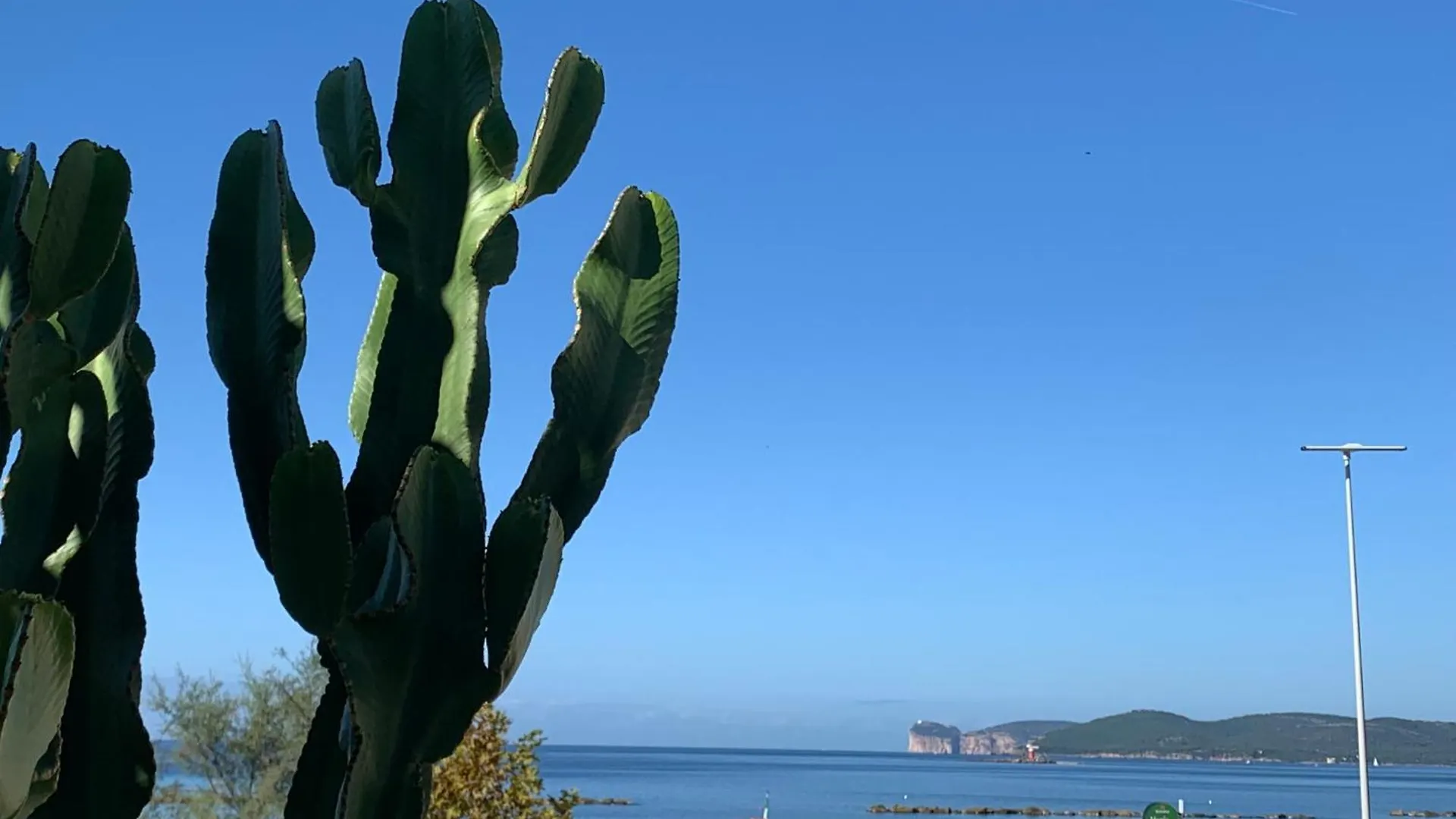 Cactus On The Beach Alghero