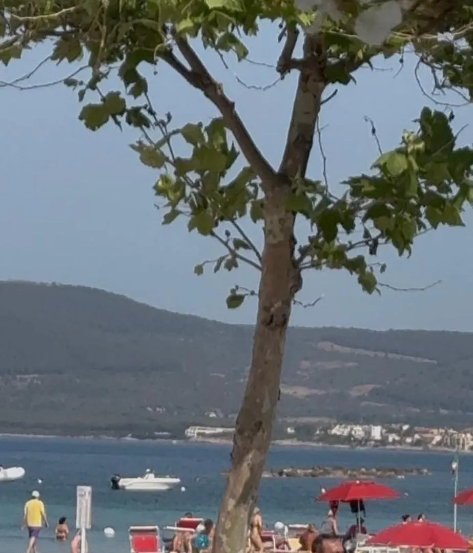 Apartment Cactus On The Beach Alghero Italien