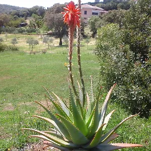 Pensión Valverde Di Naitana Rita, Alguer